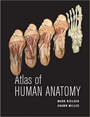 Atlas of Human Anatomy By Mark Nielsen