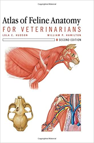 Atlas of Feline Anatomy for Veterinarians 2nd Ed