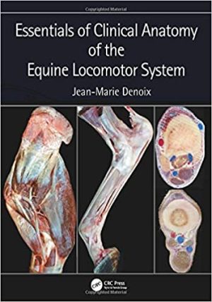 Essentials Of Clinical Anatomy Of The Equine Locomotor System