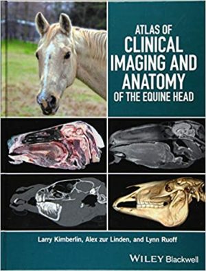 Atlas of Clinical Imaging and Anatomy of the Equine Head