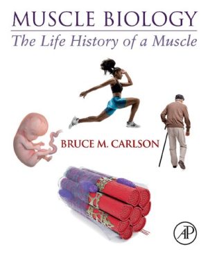 Muscle Biology The Life History of a Muscle