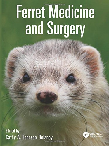 Ferret Medicine and Surgery for the Veterinary Practitioner