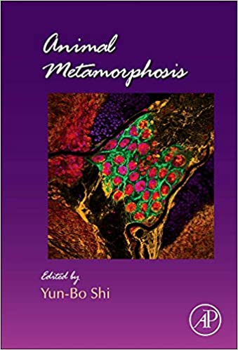 Animal Metamorphosis