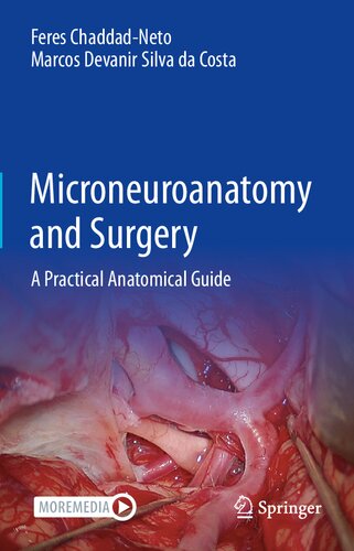 Microneuroanatomy and Surgery A Practical Anatomical Guide