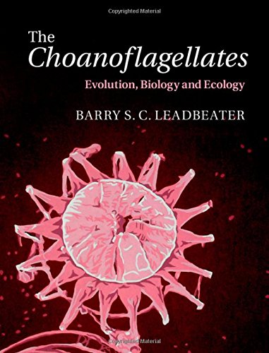 The Choanoflagellates Evolution Biology and Ecology
