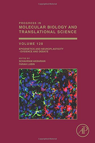 Epigenetics and Neuroplasticity Evidence and Debate