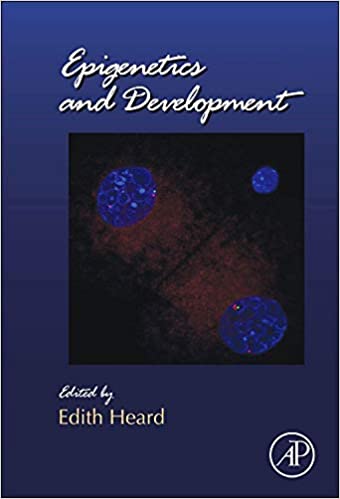 Epigenetics and Development