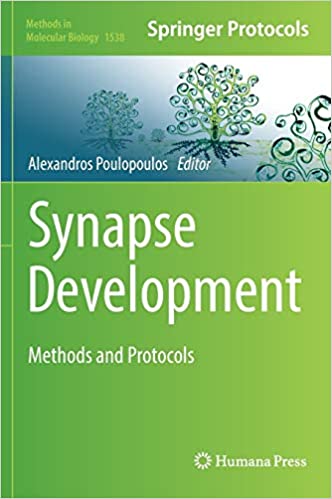 Synapse Development Methods and Protocols