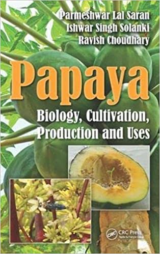 Papaya biology cultivation production and uses