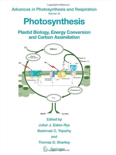 Photosynthesis Plastid Biology Energy Conversion and Carbon Assimilation