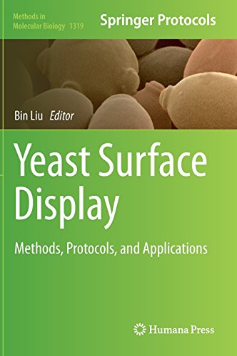 Yeast Surface Display Methods Protocols and Applications