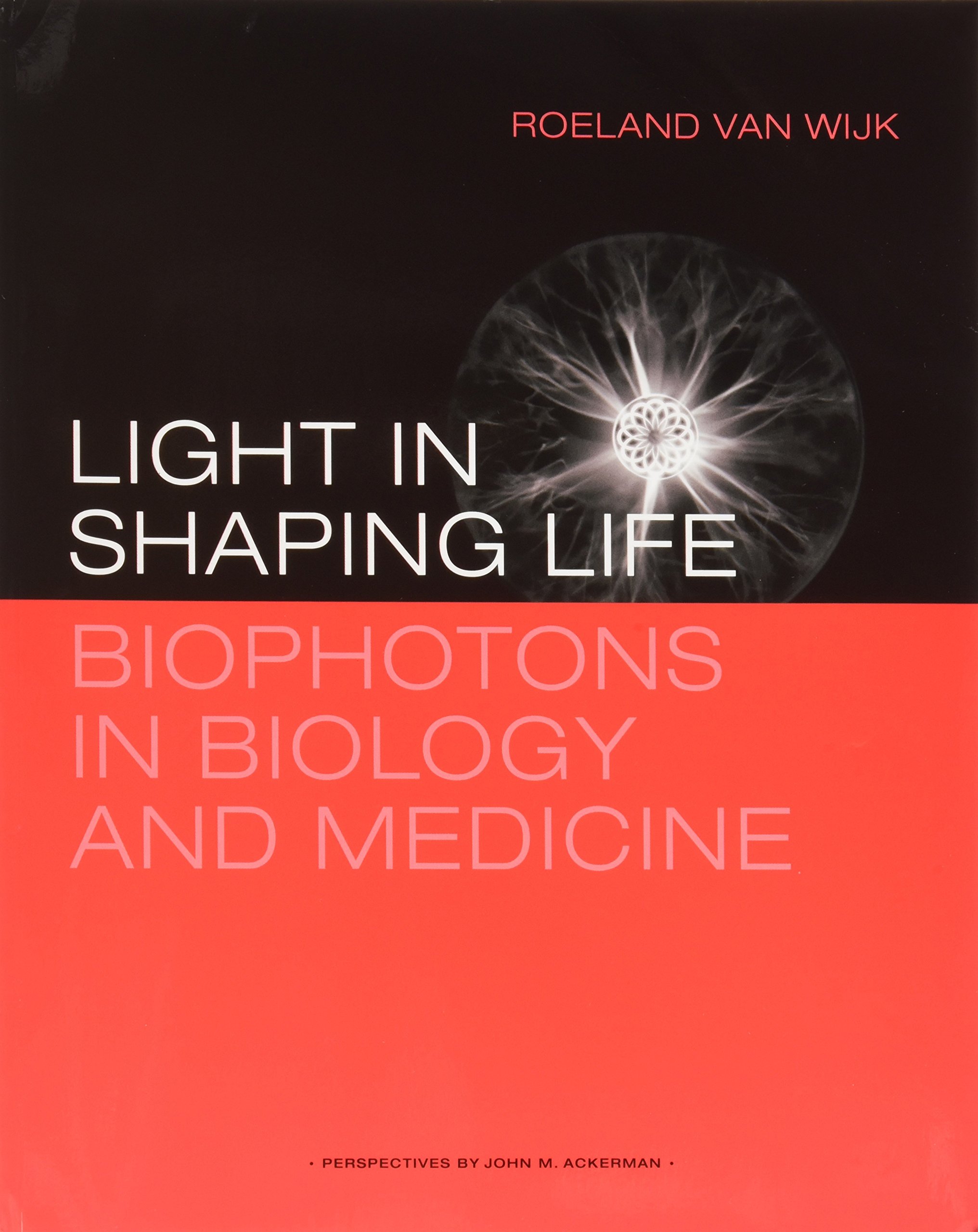 Light in Shaping Life Biophotons in Biology And Medicine