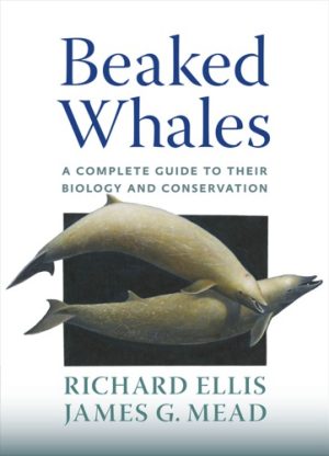 Beaked Whales A Complete Guide to Their Biology and Conservation