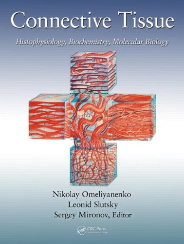 Connective Tissue Histophysiology Biochemistry Molecular Biology