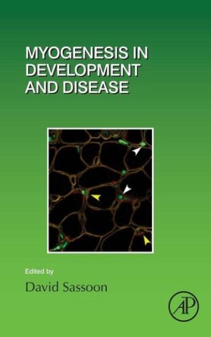 Myogenesis in Development and Disease