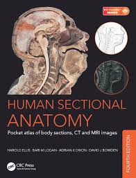 Human Sectional Anatomy Pocket Atlas Of Body Sections CT and MRI images 4th Edition