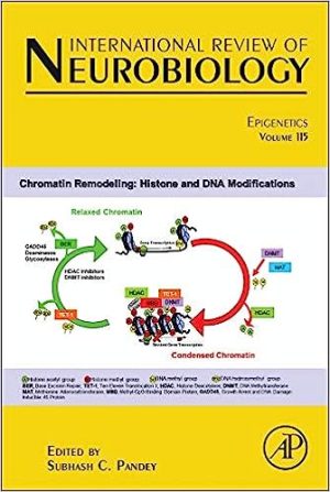 Epigenetics